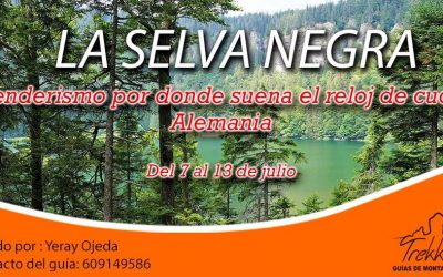 La Selva Negra, donde suena el reloj de cuco