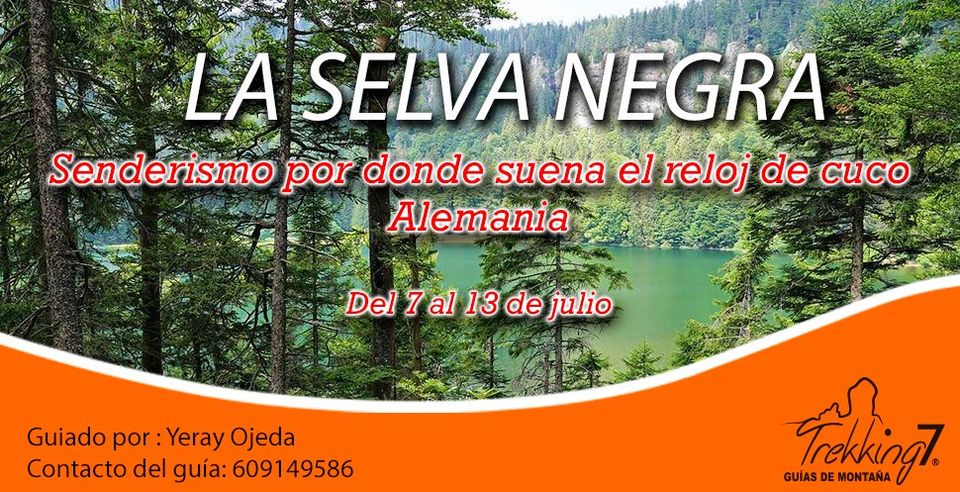La Selva Negra, donde suena el reloj de cuco
