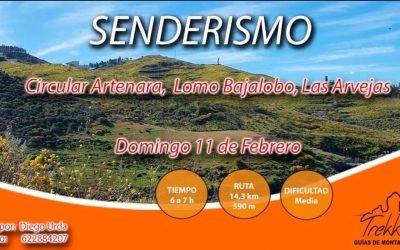 Circular Artenara, Lomo Bajalobo, Las Arvejas