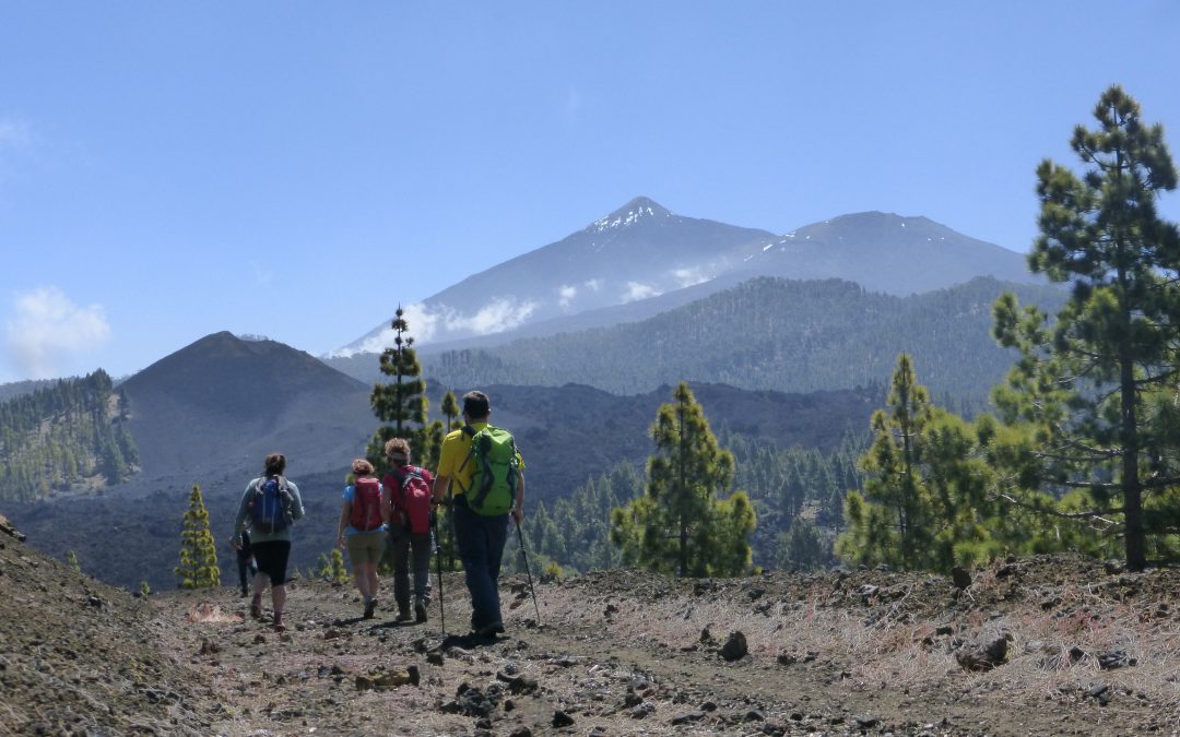 Ascenso al Teide por los Regatones Negros