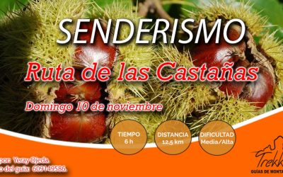 Senderismo por la ruta de las Castañas